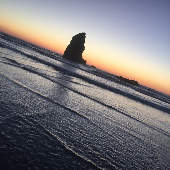 Meet your Posher, Maddy - Picture 1 of 1